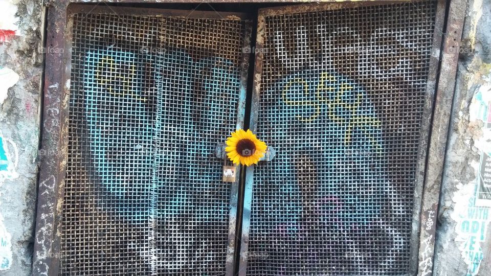 Graffiti sunflower 