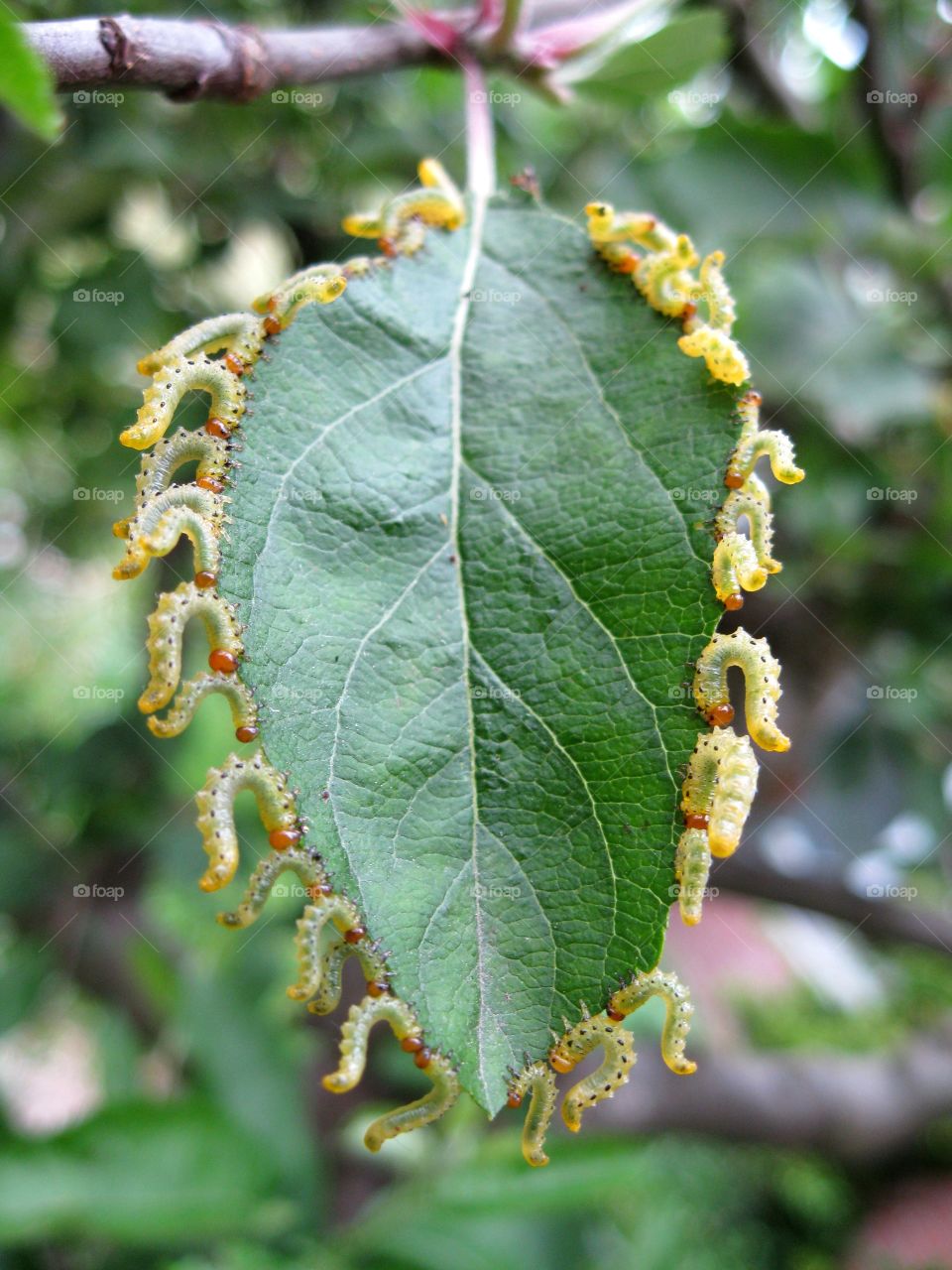 At the round table. A day at the daycare