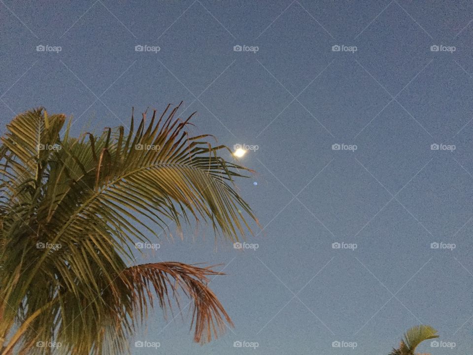 Moon over the Keys