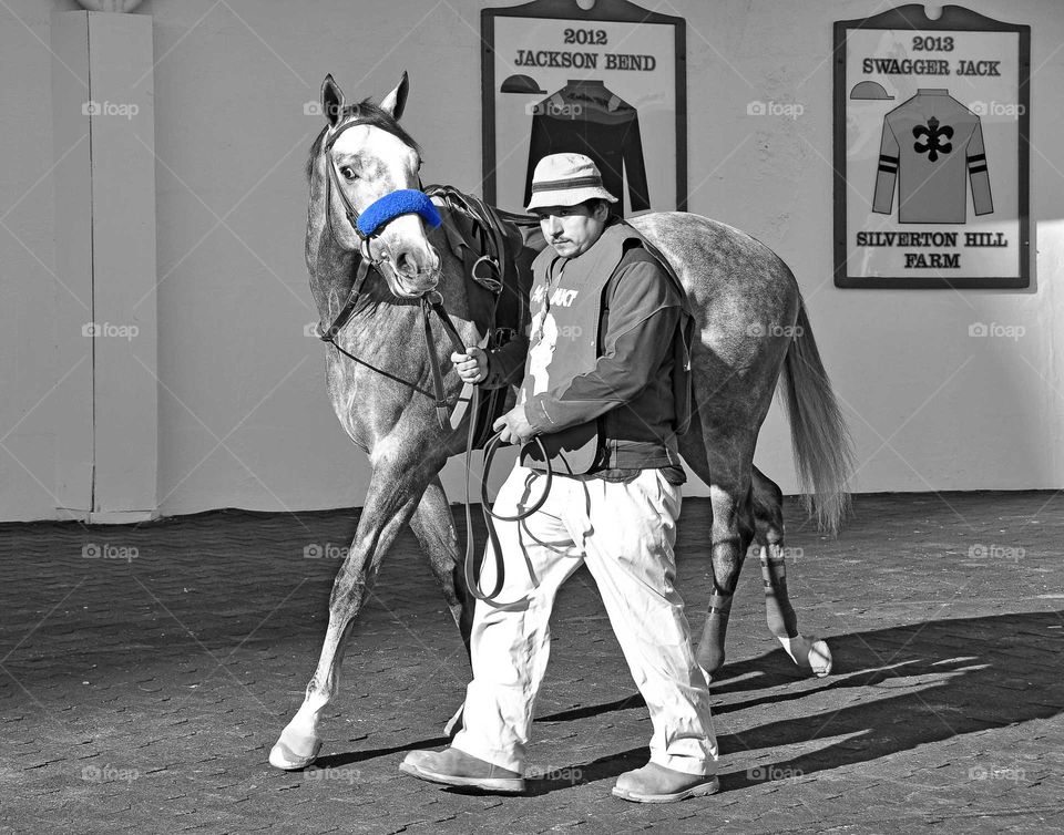 zazzle.com/fleetphoto for the best horse racing photos and gifts.