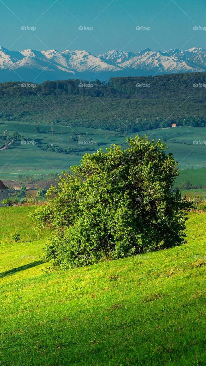 Beautiful nature and a place to be