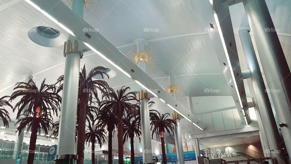 a view from dubai international airport