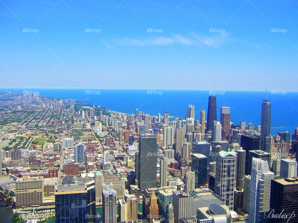 From The Sears Tower
