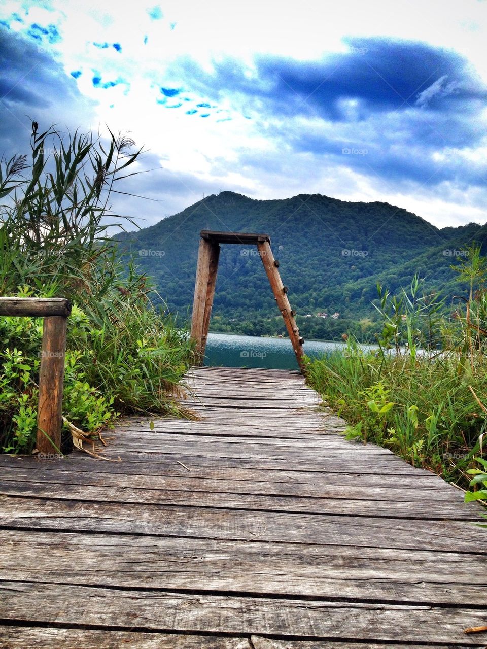 wooden path