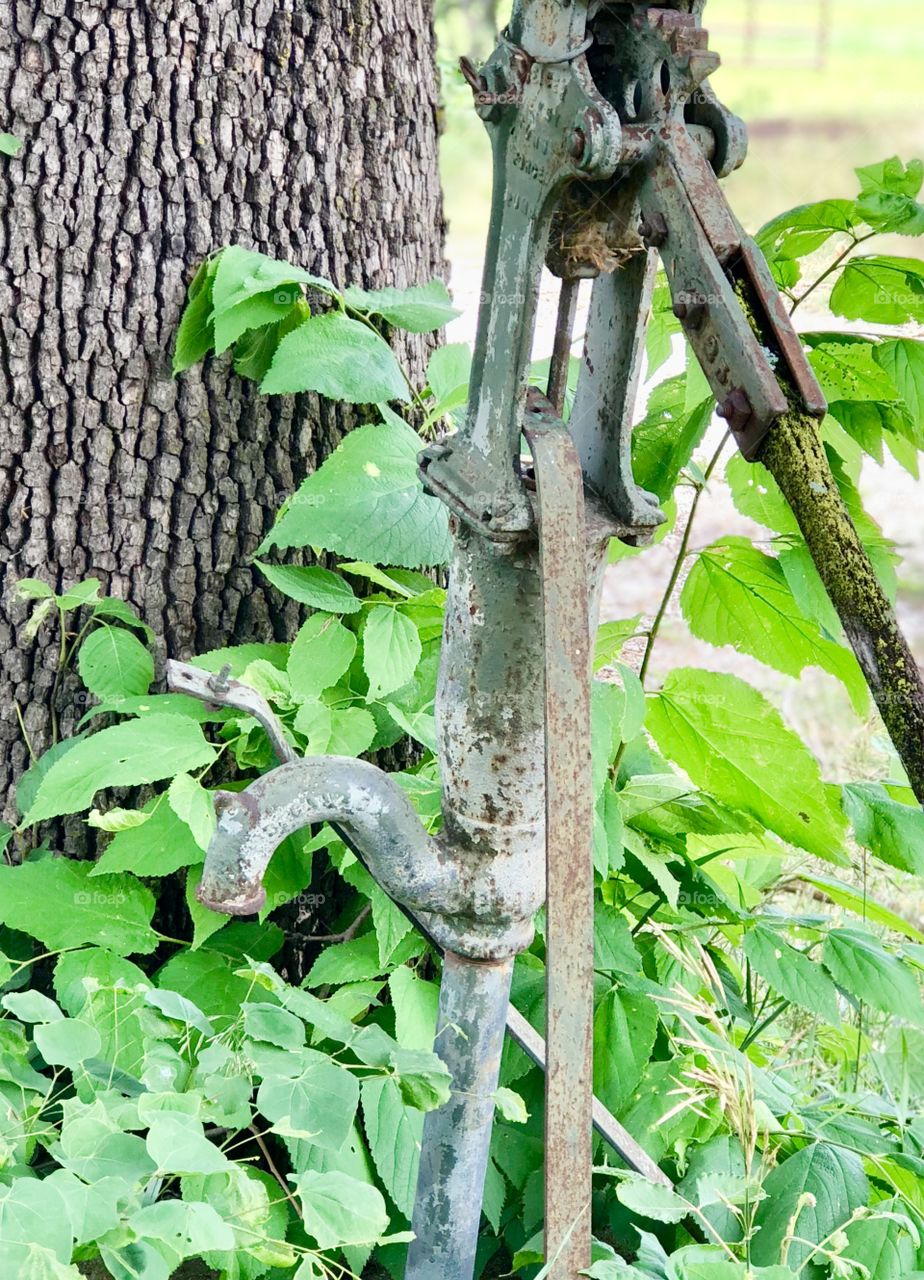 Old, Forgotten, Antique, Hand, Pump, Well, and Tree