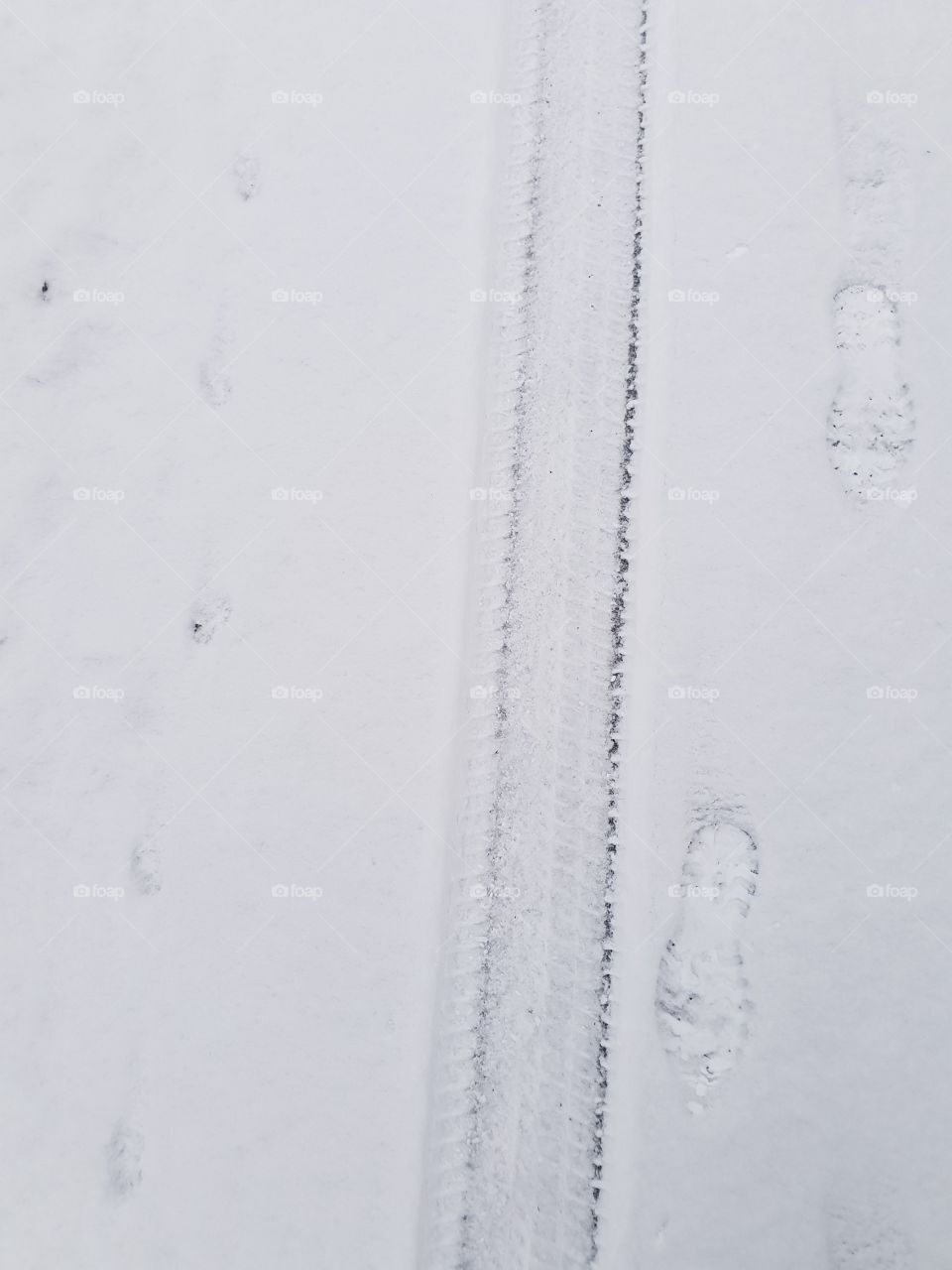 traces on the snow