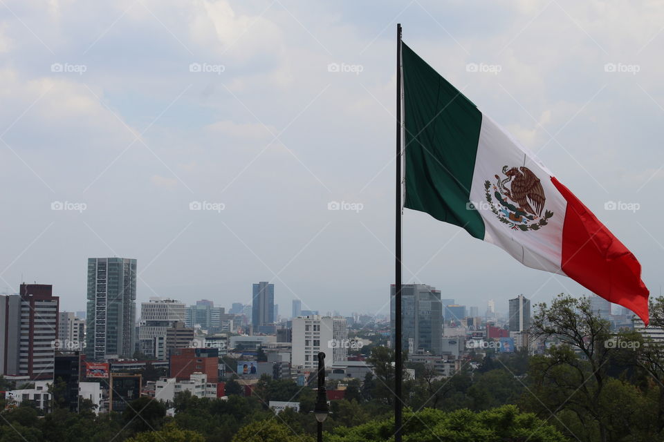 Mexico City Skyline 