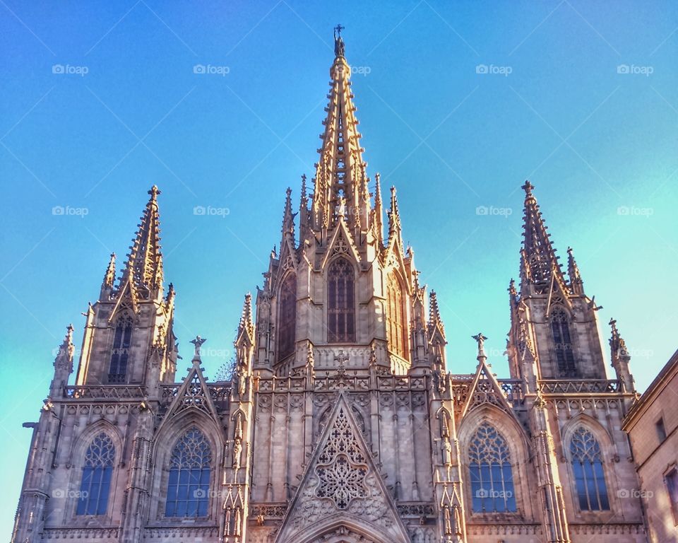 Cathedral of Barcelona