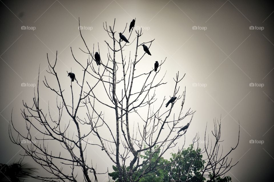 Discussion going on...