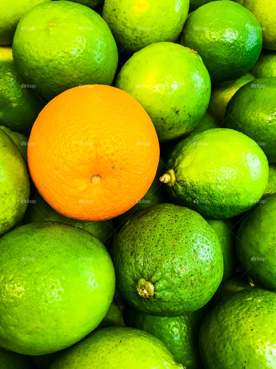orange on a background of green limes