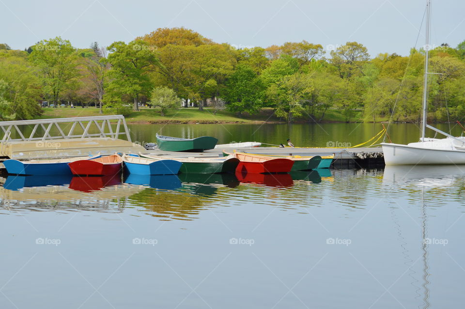boats in a pond