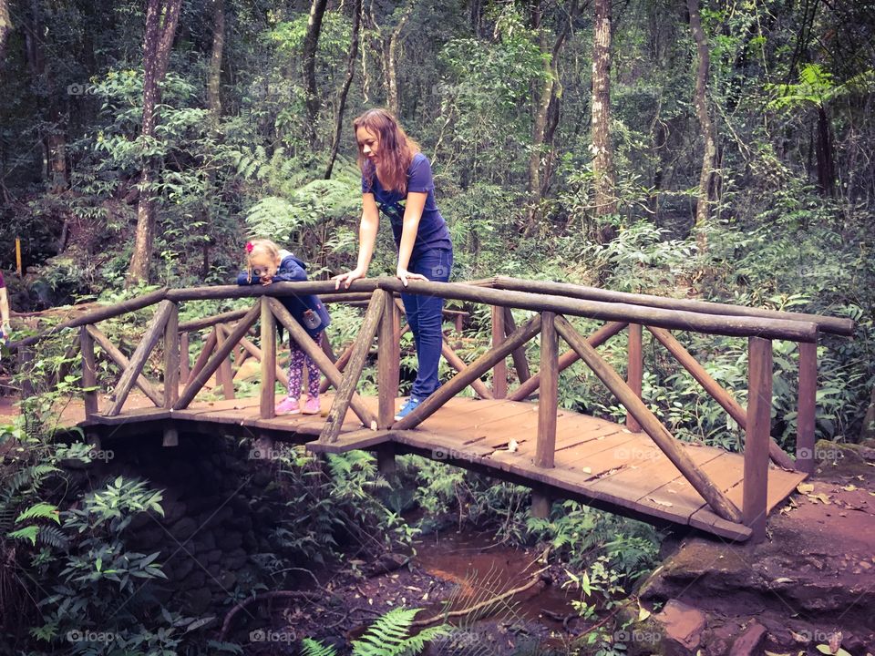 Wood bridge