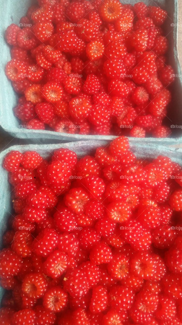 raspberry bounty