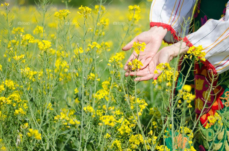 Spring Brings New Life and Hope