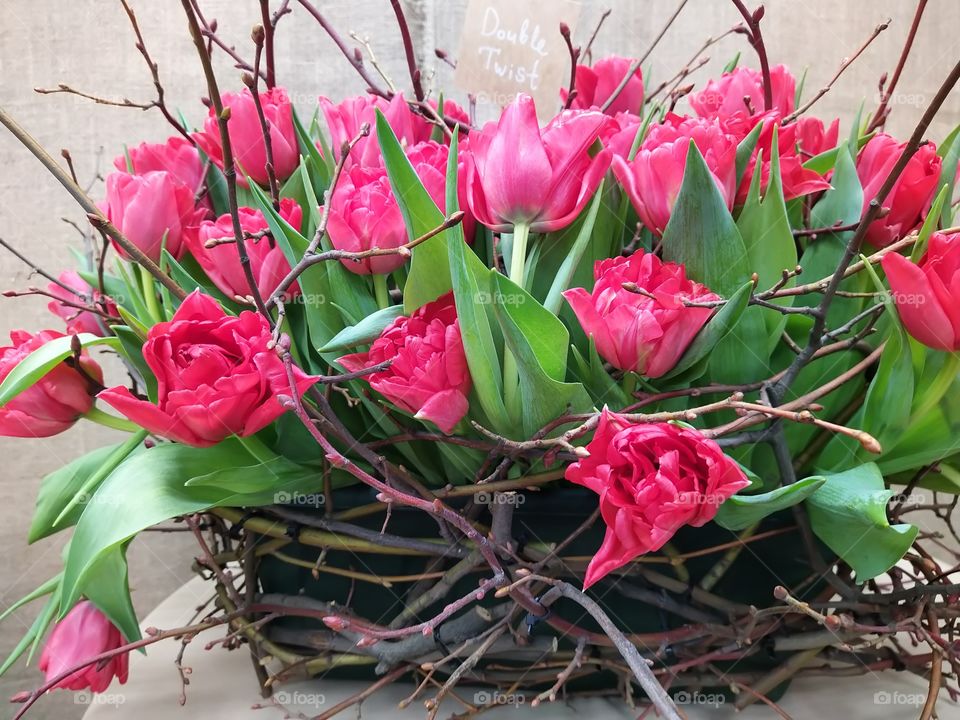 bouquet of flowers 🌺🌸