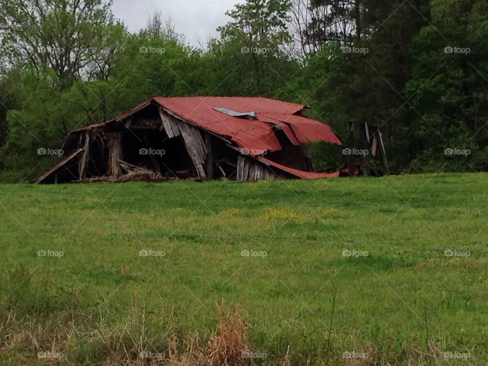 Barn