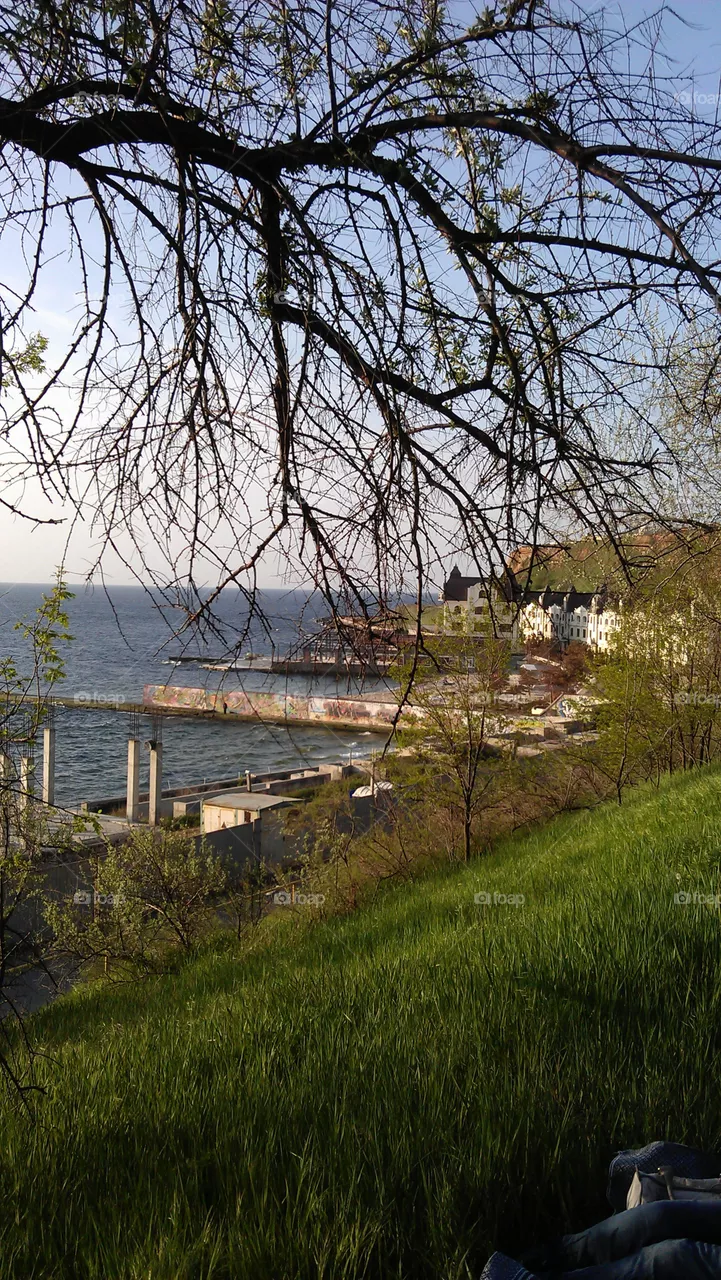Берег