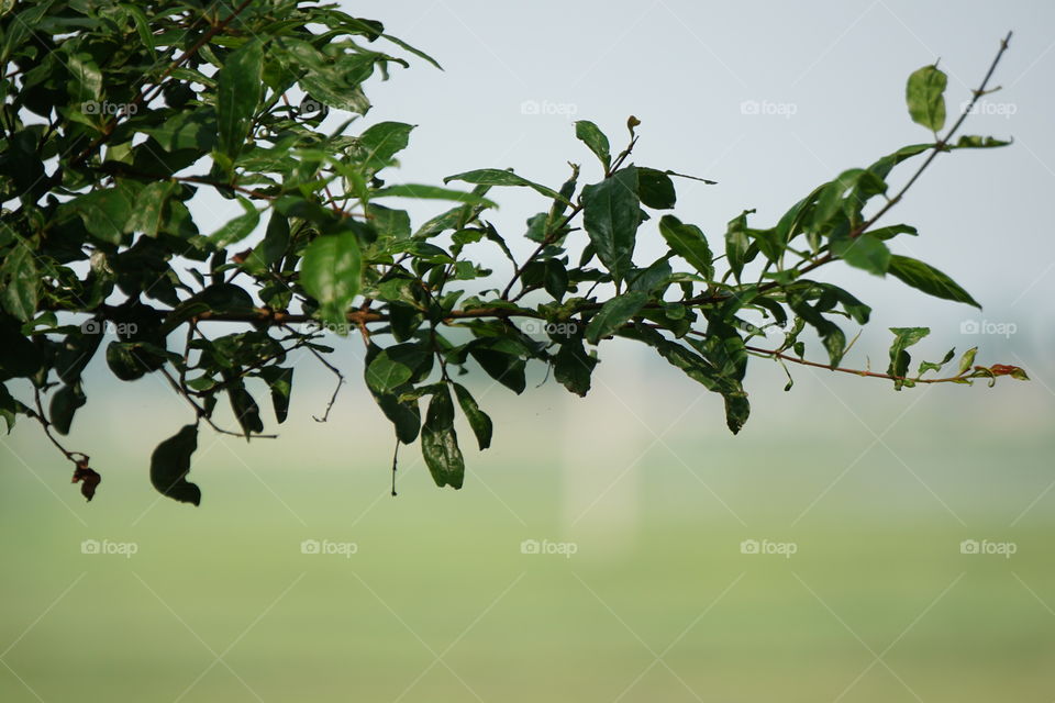 This is my first time