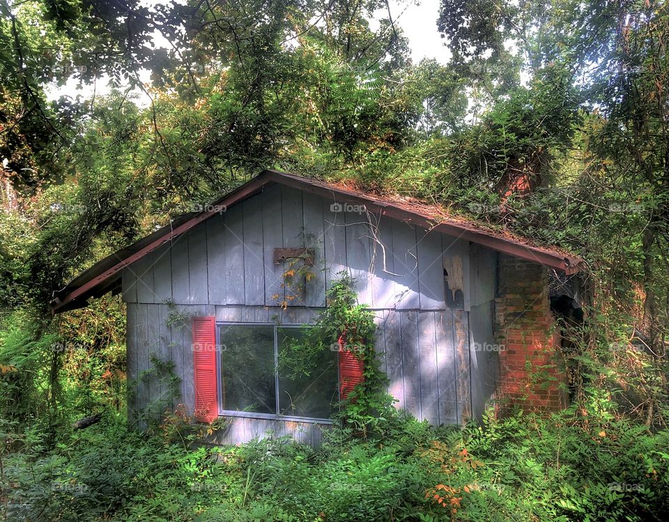 Abandoned Witch House #1