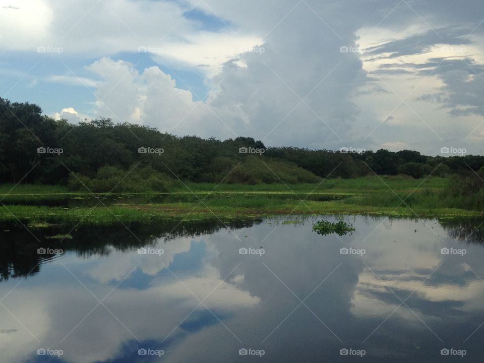 Landscape, Water, Tree, Lake, Reflection