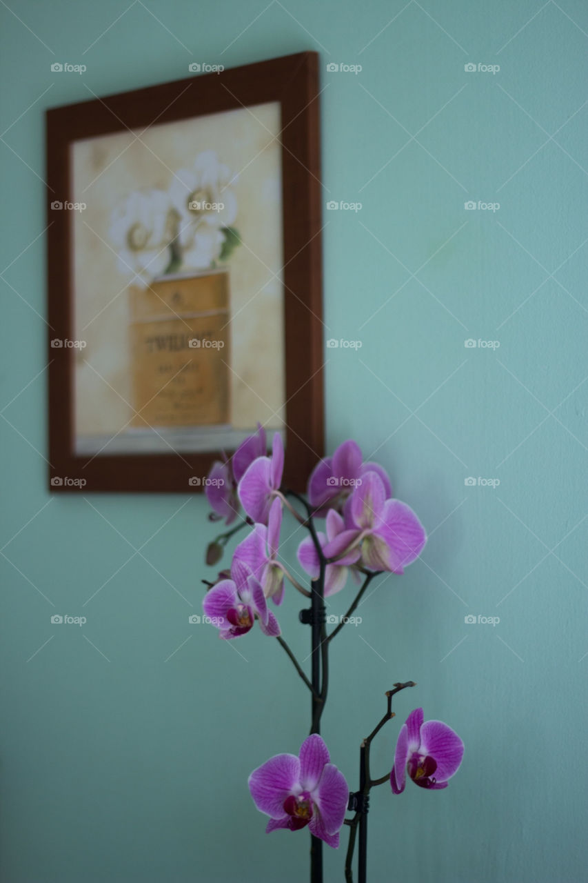 interior spring flower wall by ndia