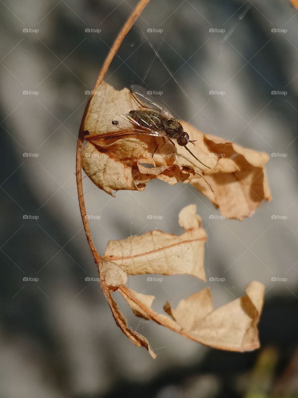 my first post on foap😍