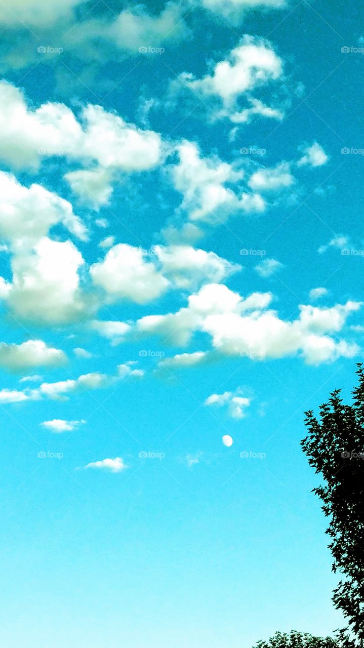 moon during the day. a picture perfect sky in beautiful California