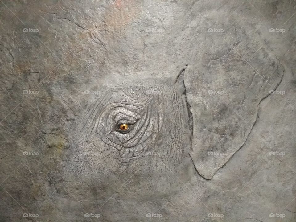 Elephant relief, Wrocław Afrykarium zoo, modern art, beautiful, eye
