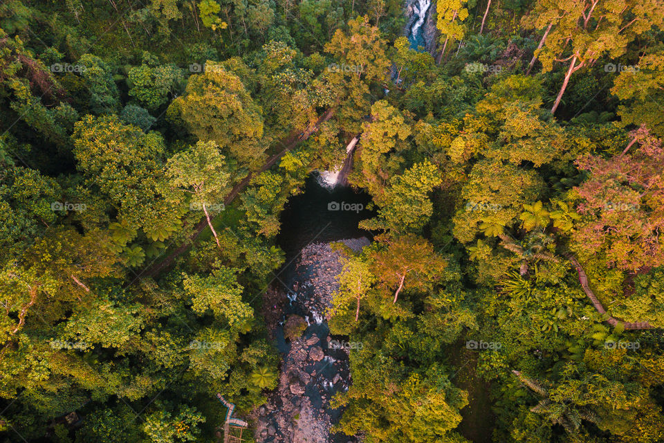 aerial view waterfall in the forest