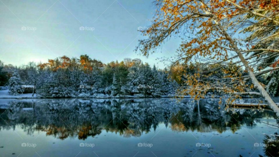 Reflection of autumn trees during winter