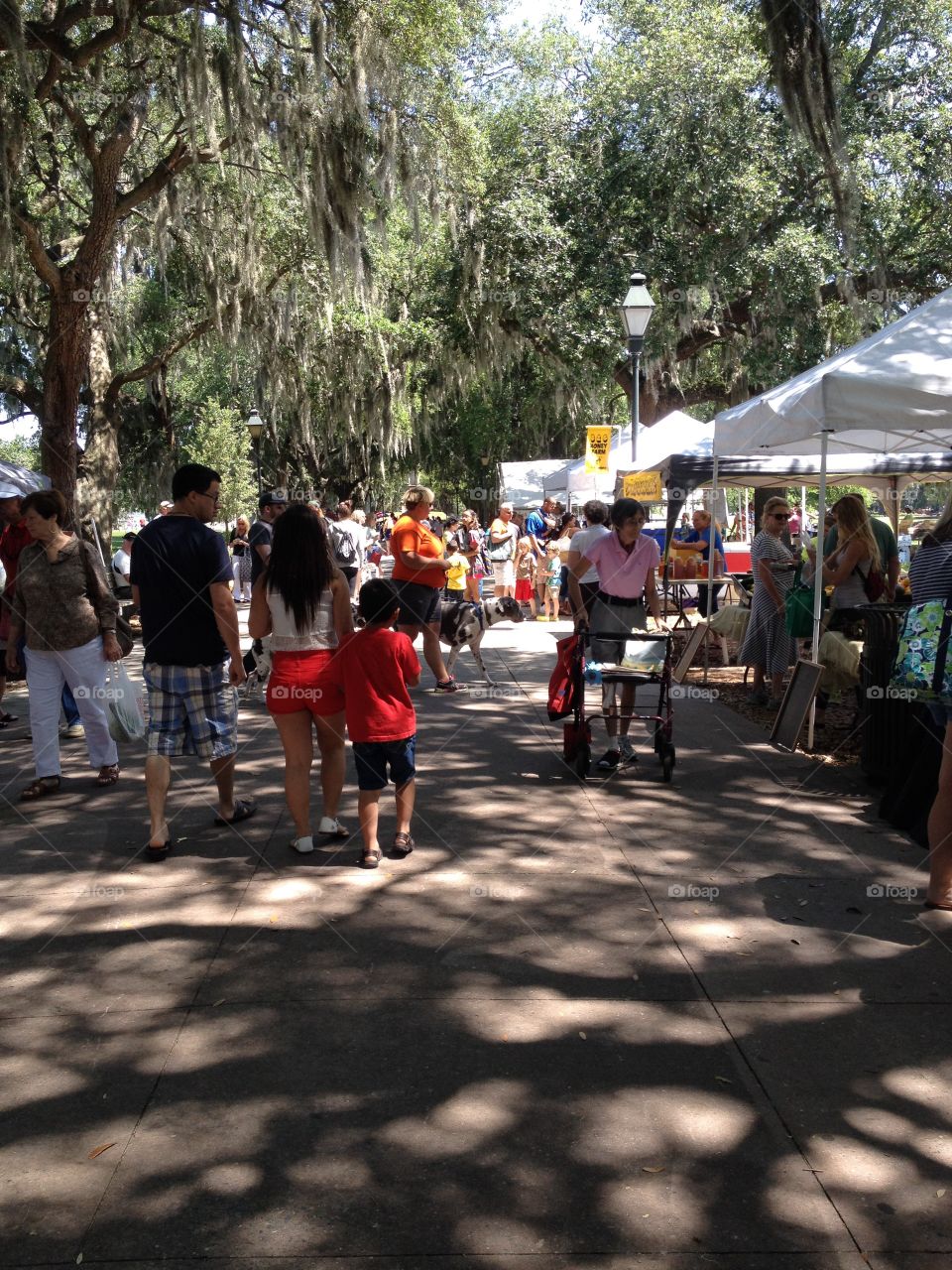 Craft and farmers market in Forsyth Park in the historic district of Savannah Georgia