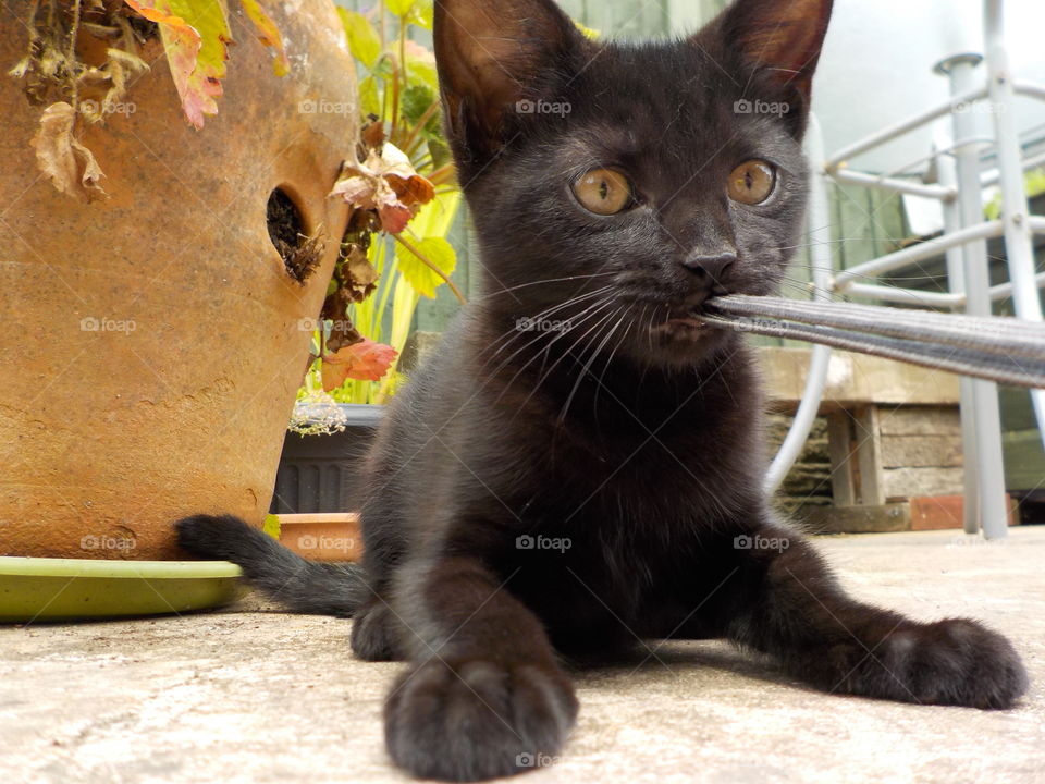 Playing with camera string 