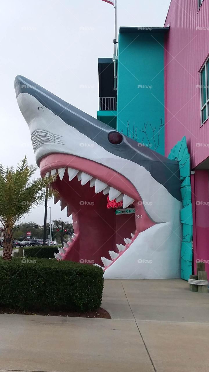 Jaws