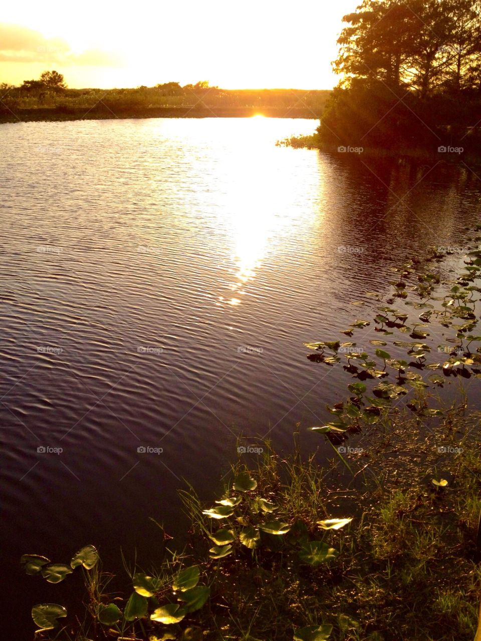 Sunset, Water, Dawn, No Person, Reflection