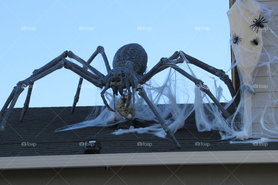 Giant spider