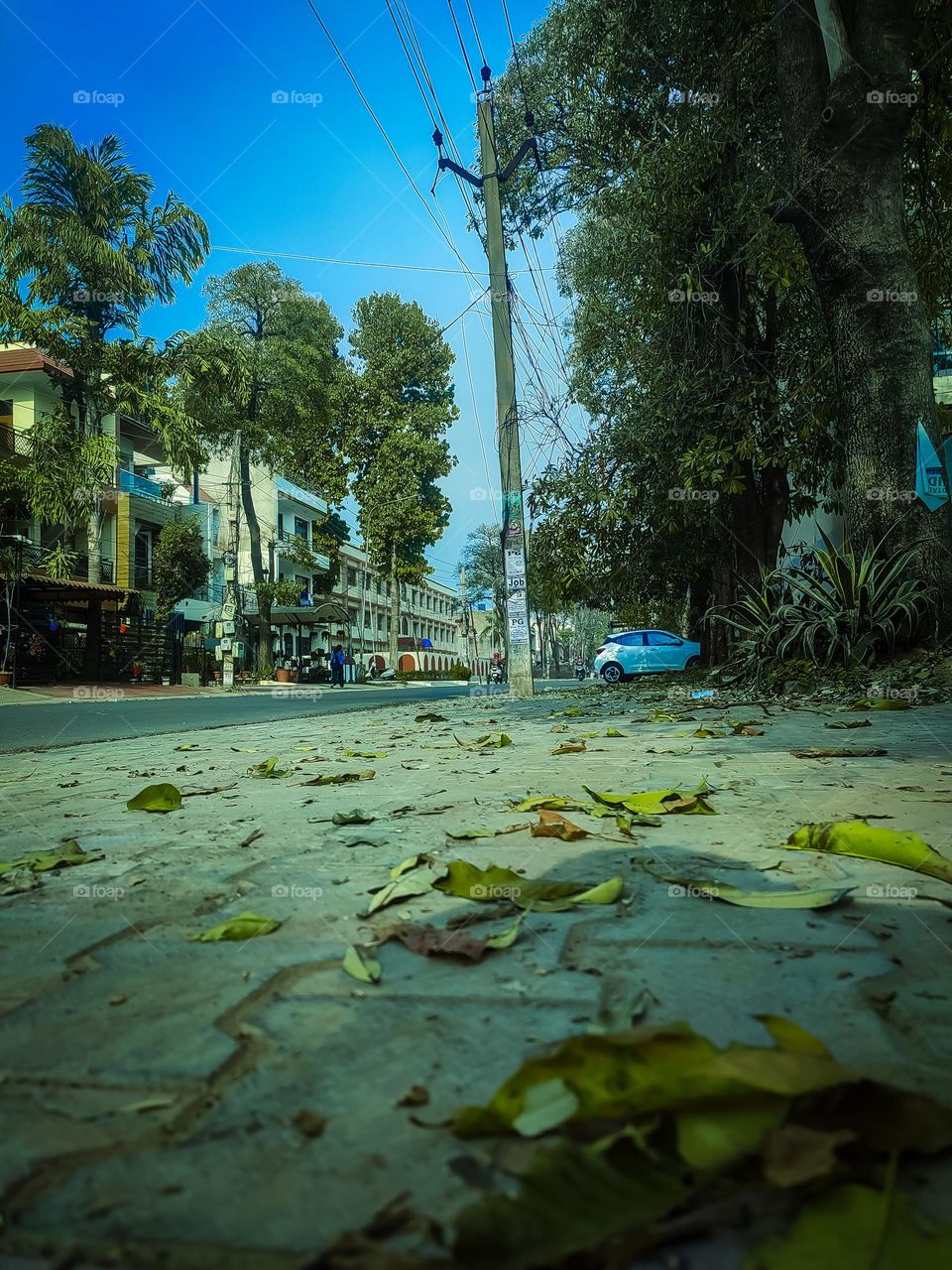 beautiful road to destiny