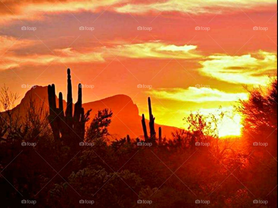 Sunset in the desert