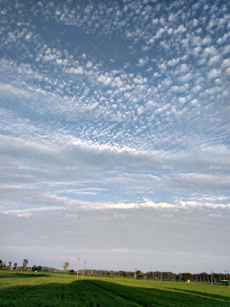 True Nature, No Filters # Truephotos