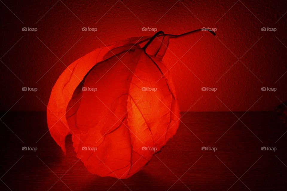 It is a Himalayan salt lamp. It's on. I have covered it with two tree leaves. With the light on from the lamp I have taken the picture.