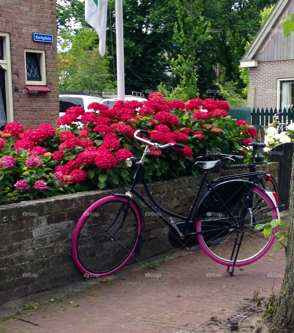 a charming bike to go from A to B