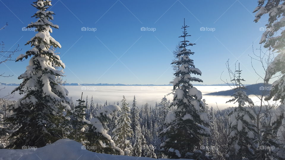 Inversion by Blacktail ski resort