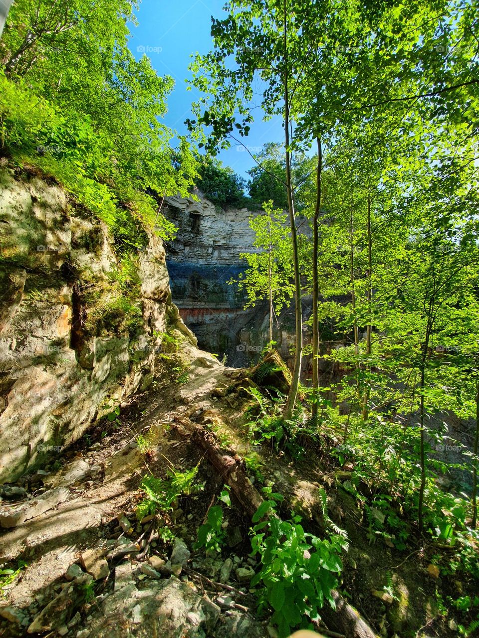 Amazing green view next to the waterfall.