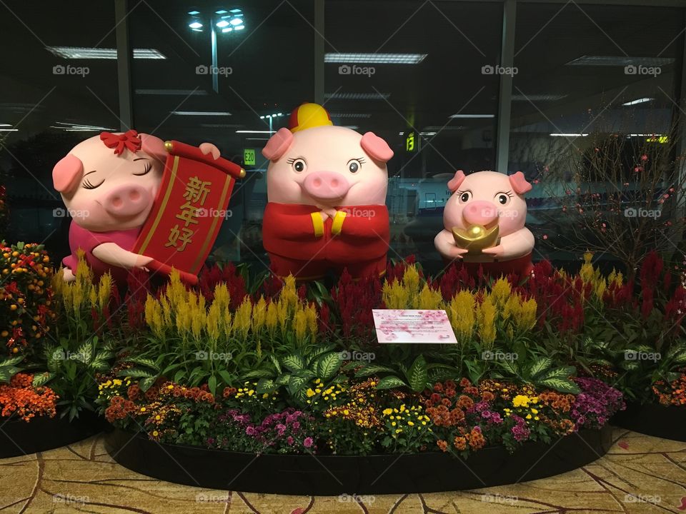 Chinese New Year 2029 pig Changi airport flowers 