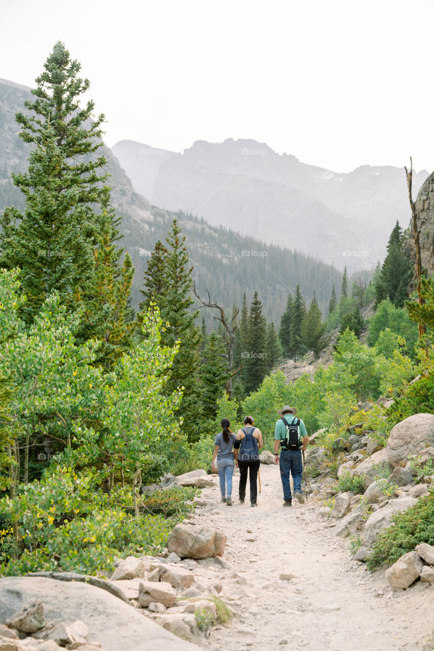 Aspen trees and pine trees in the mountains on hiking trails 