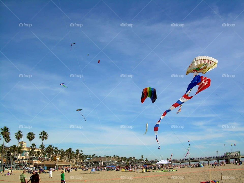 Flying kites