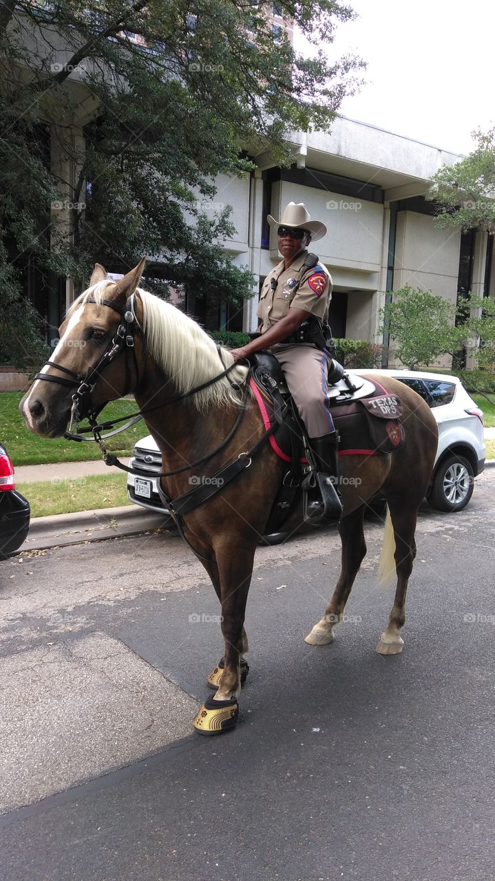 Texas State Trooper on horse