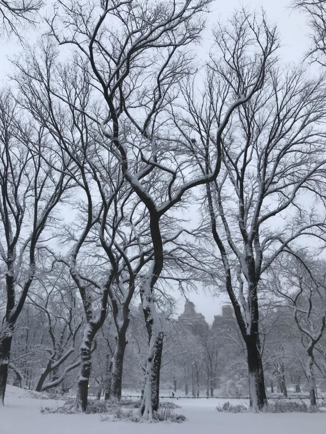 Snowy hike in Central Park 
