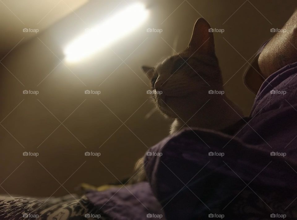 look it's dark I am not sleeping I am awake