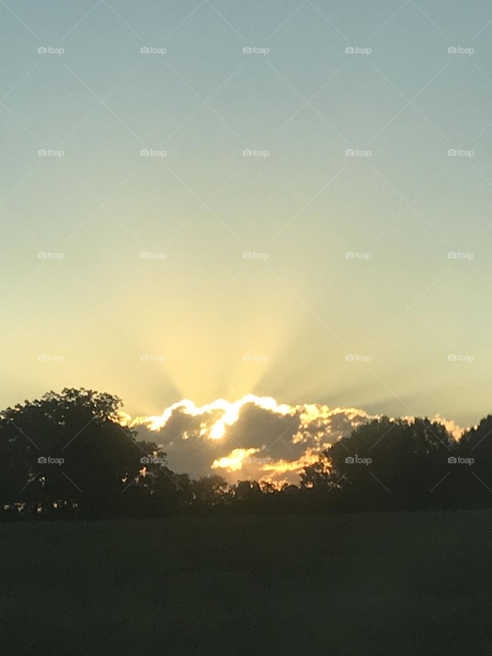 One of gods beautiful creations. 