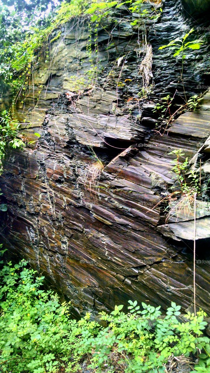 Wall of shale. this is in Newton NJ behind the court house